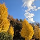 옥포운동장 이미지