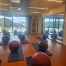 코스모스세탁 | [ 36주 ~ 38주 ] 마지막 베이비페어 구경, 곡교천 코스모스 구경, 당진 드라이브, 아기용품 당근...