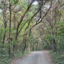 도담행복마을 이미지