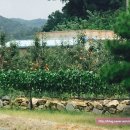 핏골농장 이미지