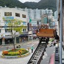 낙동초등학교 이미지