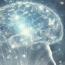 유별난 가위 이미지