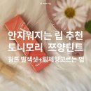 하나유통토니모리 | 토니모리 겟잇틴트 워터풀버터 너티크림 솔직리뷰 발색샷 포함