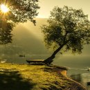 도사곡교 상류100m 간이화장실 | 전국 유료 무료 노지 캠핑장 목록 리스트