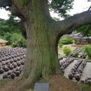 명재농장 이미지