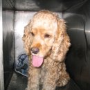 신영동물병원 이미지