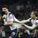 스콜피언 이미지