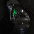 나무와 돌 이미지