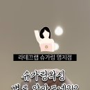 라데끄랩