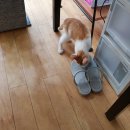 평거동사무소 이미지