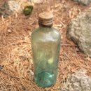 목포세발낙지 이미지