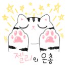 야옹동물병원 네이버블로그