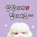🎬 톰 크루즈의 미친 액션! 《미션 임파서블: 파이널 레코닝》 관람 후기 🎬