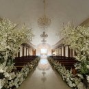 [웨딩홀투어💒] 당산 그랜드컨벤션센터 리젠시홀 (계약 ⭕️)