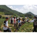 괘석영농조합법인 이미지