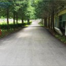 봉발보건진료소 이미지