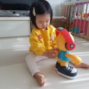 오 마이 캣 이미지