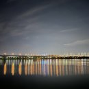 별빛애견 이미지