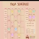 오늘요가참달다 원데이후기