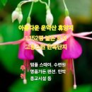 토지민박 이미지