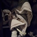 도쿄 | [일본 도쿄] 팀랩플래닛 도쿄 후기 사진 촬영 소요 시간