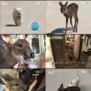 우애농장 이미지