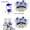 불꽃야구 보러가요 이미지