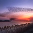 서천 남산성 이미지