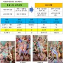 F9025 | 보경사 천왕문 F9025