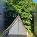 욜로올레제주 이미지