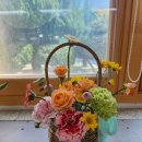 이리동북초등학교 이미지