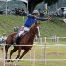 정남진 축산 이미지