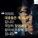 꿀멍꿀멍 Daum카페
