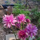 승희농장 이미지