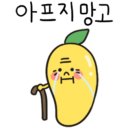 고망고DDP