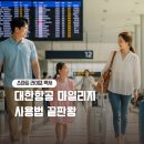 이레마트 | 대한항공 마일리지 사용법 총정리 스카이패스 꿀팁
