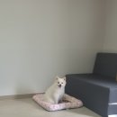 까까곳간 | 열심히 살면 해가 번쩍뜨게찌?🌞열심히 달리는 나날들🏃‍♀️