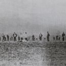 용단농장 이미지