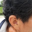 장안파출소 이미지