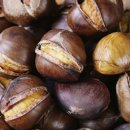 공주농장 이미지