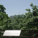 우면산 (남태령 정각사) 이미지