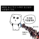 딱정벌레펜션 | 😎8월 2주 (여름 휴가!)