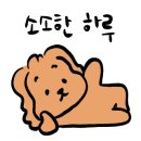 미미에토 이미지