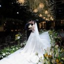 네이처코드 | W. 서사포토그라피 스냅 예약 후기, 강서 더베뉴지 네이처홀(짝꿍코드O)