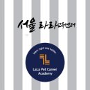 라라반려동물직업전문아카데미 네이버블로그