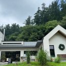 메리도그하우스 이미지