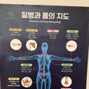 강스뷰티어겐