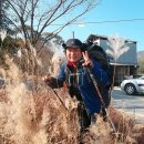 서동한우농장 Daum카페