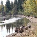 퍼니(FUNNY) 이미지