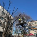 구민회관어린이집 이미지